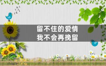 留不住的爱情我不会再挽留