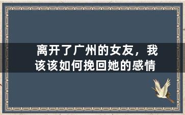 离开了广州的女友，我该该如何挽回她的感情