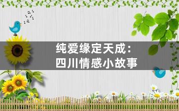 纯爱缘定天成：四川情感小故事