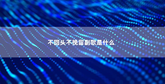 不回头不挽留副歌是什么