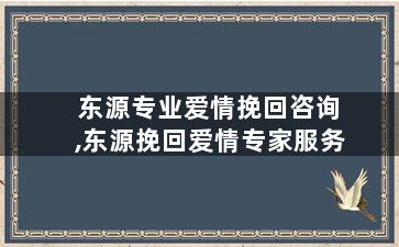 东源专业爱情挽回咨询,东源挽回爱情专家服务