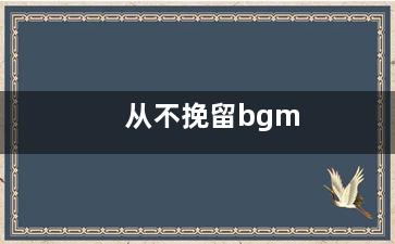 从不挽留bgm