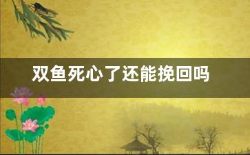 双鱼死心了还能挽回吗
