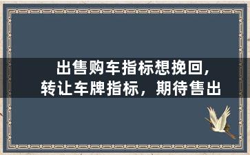 出售购车指标想挽回,转让车牌指标，期待售出