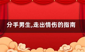 分手男生,走出情伤的指南