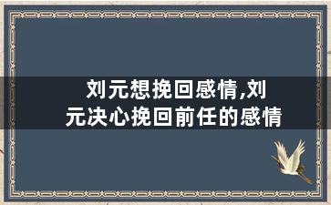 刘元想挽回感情,刘元决心挽回前任的感情