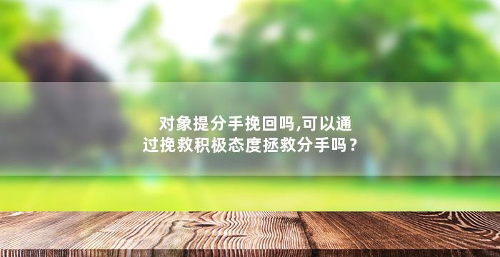 对象提分手挽回吗,可以通过挽救积极态度拯救分手吗？