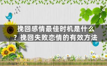 挽回感情最佳时机是什么？挽回失败恋情的有效方法