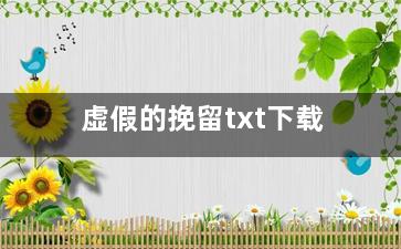 虚假的挽留txt下载