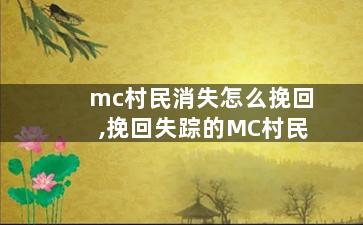 mc村民消失怎么挽回,挽回失踪的MC村民