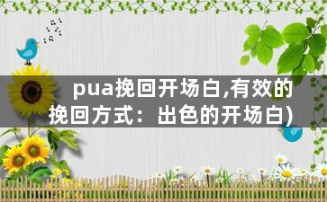 pua挽回开场白,有效的挽回方式：出色的开场白)