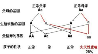 挽回对位关系的方法,挽回情感关系的有效方法