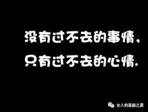 道歉挽回信随便撩，犯错后的真心道歉，期待你的宽容与原谅