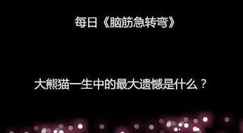 拽的挽回文案，如何用超强的拽回术重新赚回Ta的心？