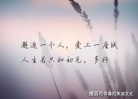 爱你无法挽回的意思，挽回无望，爱已破碎