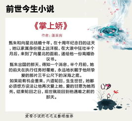 挽回声誉的小说,重振名誉：一部小说