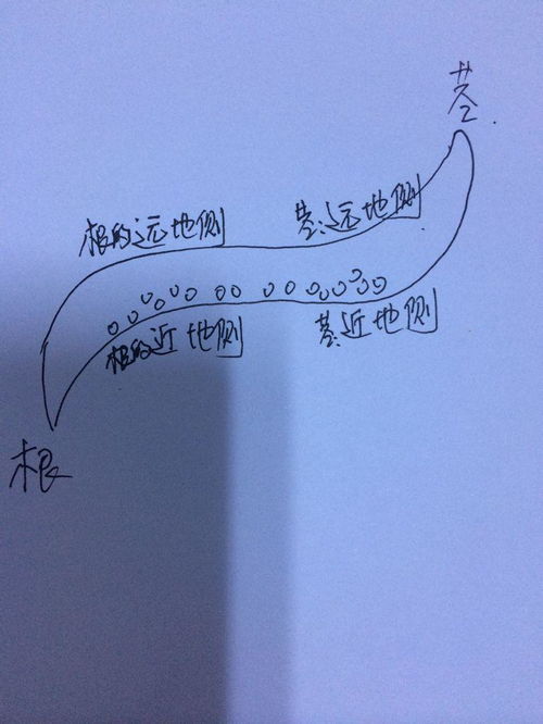 只为能挽回那根红线，如何保住缘定三生的红线？