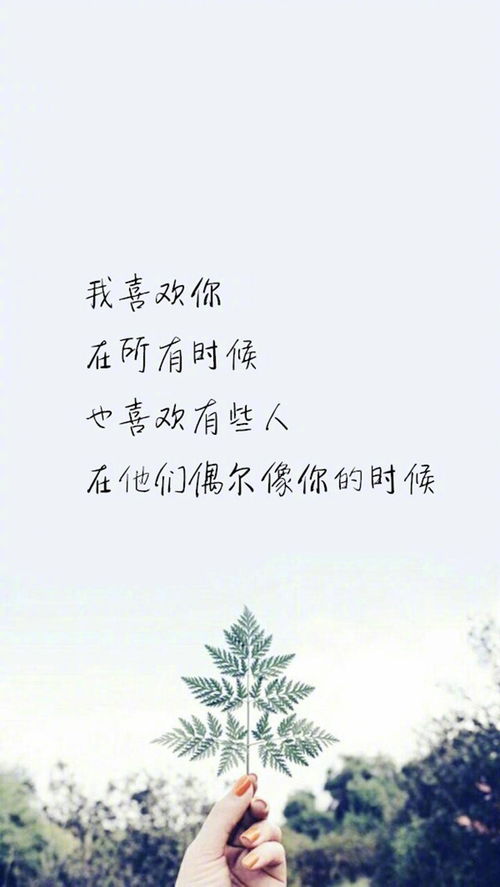 挽回感情失败的文字,挽回失败，情感再难补救