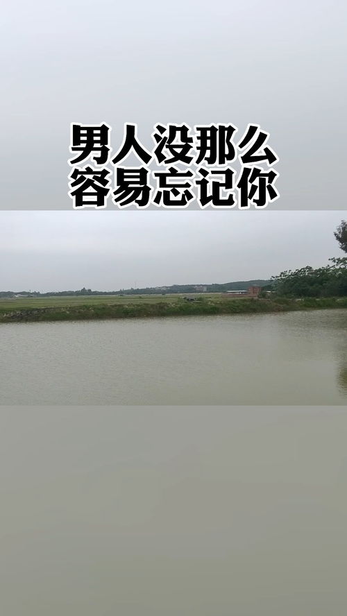 闽清情感挽回地址,闽清情感挽回的有效方法