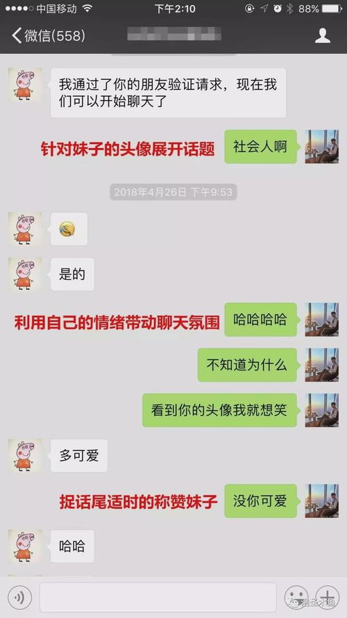 挽回属猪女生的话术,挽回猪女的话术秘诀