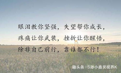 无法挽回日暮之时,时光流逝，悔恨无用