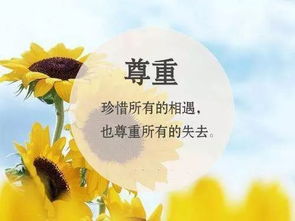 说什么话能挽回,如何在失误后挽回? 说什么话能挽回,如何在失误后挽回?