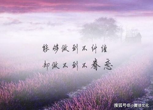 适合发挽回的句子,适合用于挽回的句子：你是我生命中最重要的人，我不想失去你。新标题：挽回爱情的必杀句。