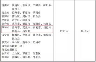 竞标分数最低怎么挽回,如何提高竞标分数？