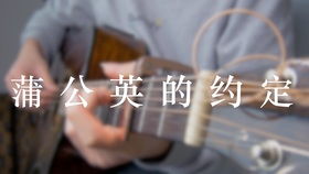 抖音情感挽回机构，抖音情感挽回中介机构，从专业角度帮你拯救爱情