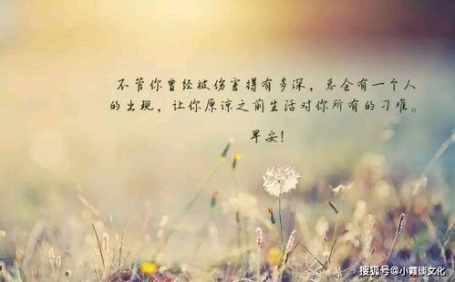 错过了还要挽回,错过重拾，挽回心情