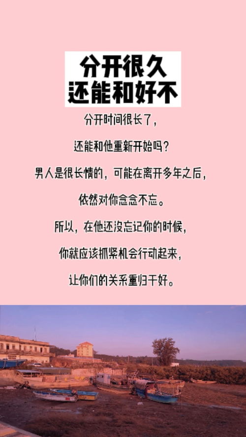 毕业分手挽回的话作文评语，“毕业后的挽回之路”