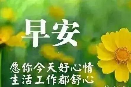 吵架如何挽回的早安问候，挽救吵架局面的早晨问候方式