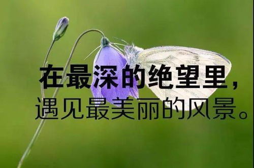 最后的挽回文案简短，用温柔挽回TA的心，收获幸福爱情