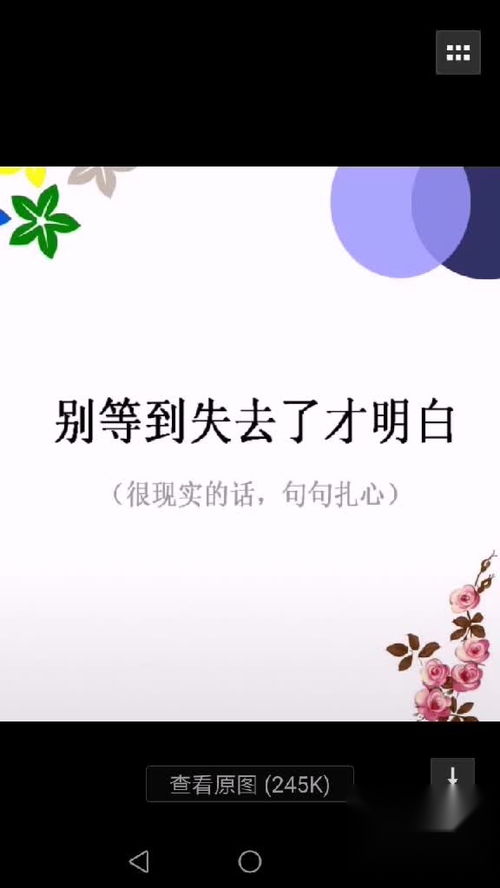 别等到失去后才想挽回，前瞻未雨，珍惜当下，追悔莫及。