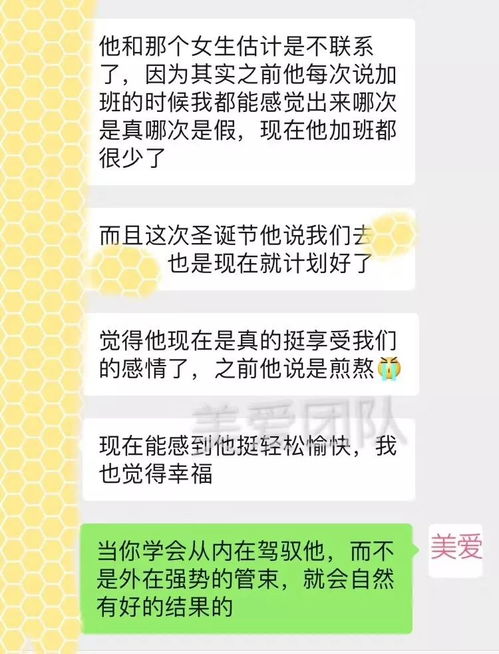 情挽回的指导方案,挽回爱情的实用指南