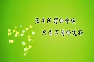 错过太多还能挽回吗,错过太多，还能回头吗？