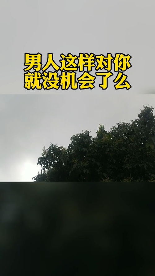 洛隆挽回感情指导咨询,如何挽回失落的感情？