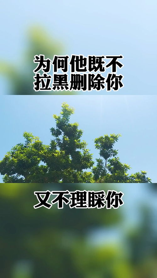 被拉黑挽回感情,挽回感情，解决被拉黑的问题