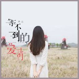 极力挽回情人的歌,挽回爱情的绝美歌曲