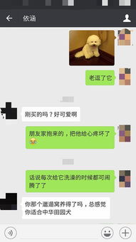 挽回中不要回复,挽回关系：慎勿回复)