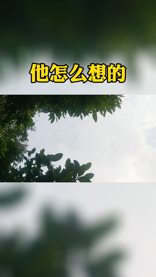 挽回最高境界是什么,达到挽回感情的最高境界是什么)