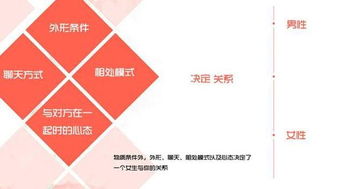 郑州婚姻挽回情感咨询，怎样实现婚姻“破镜重圆”解密情感挽回咨询服务