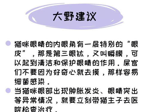 把拉黑了怎么挽回，突破者：重获信任的有效方法