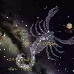 天蝎男各种纠缠挽回,如何挽回天蝎男？