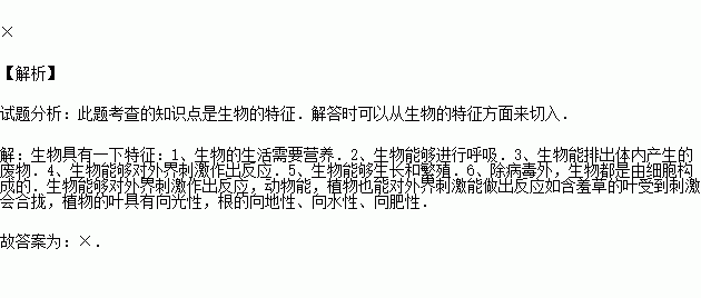 无法挽回的作品,无解之作：新标题重写