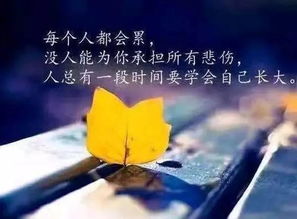 吵架想挽回的歌曲,和解之歌：挽回吵架的心情