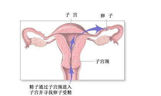 挽回假性复合的标准,如何挽回假性复合？-成功挽回假性复合的方法