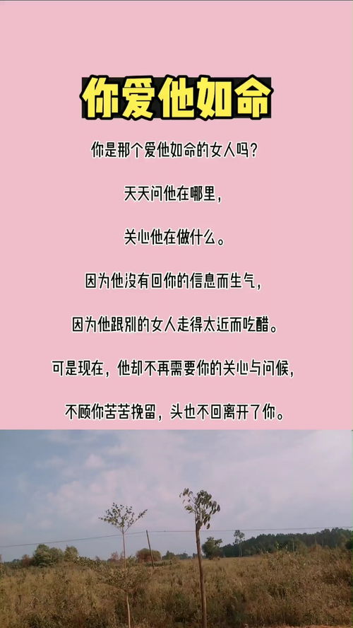 挽回还会珍惜吗,挽回感情，探究是否懂得珍惜