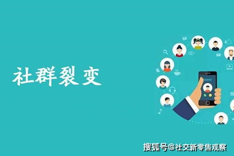 挽回种子信的作用,如何有效挽回丢失的种子信？