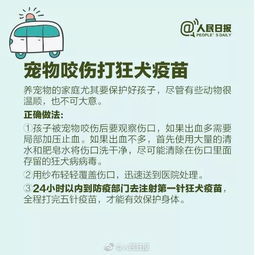 挽回错误的最佳方案,挽救错误：实用方法和技巧